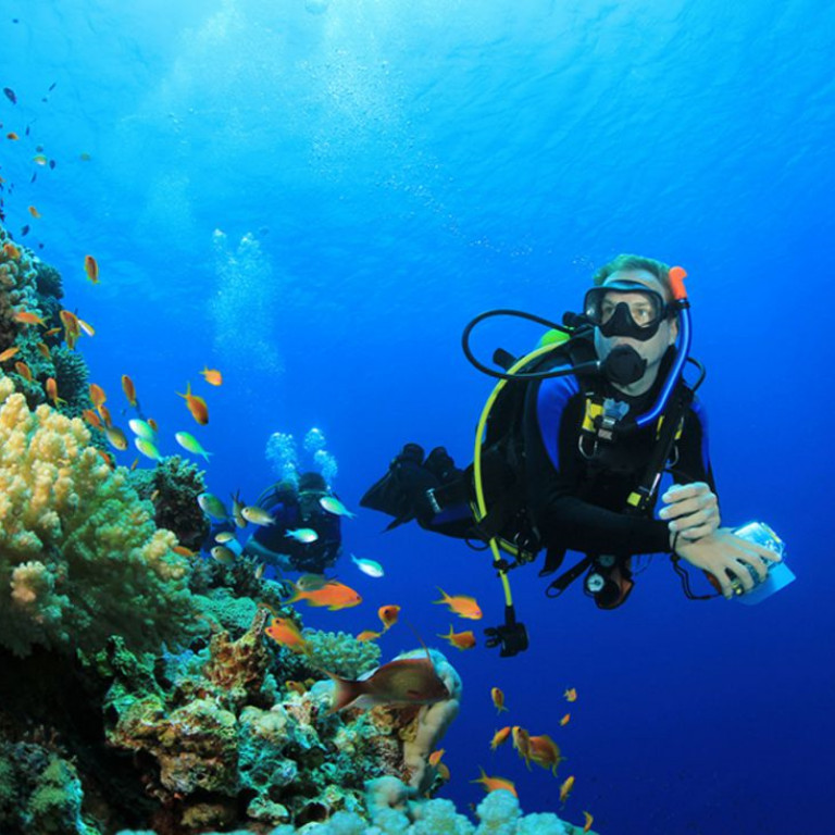 El Caribe mexicano, un paraíso del buceo