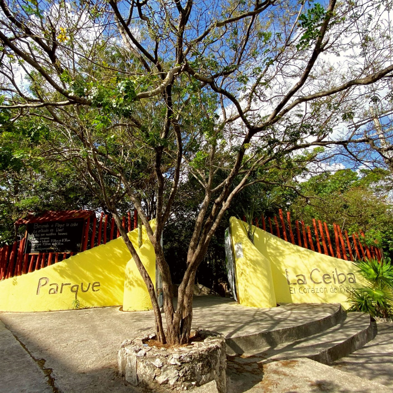 Parque la Ceiba abre sus puertas en Playa del Carmen