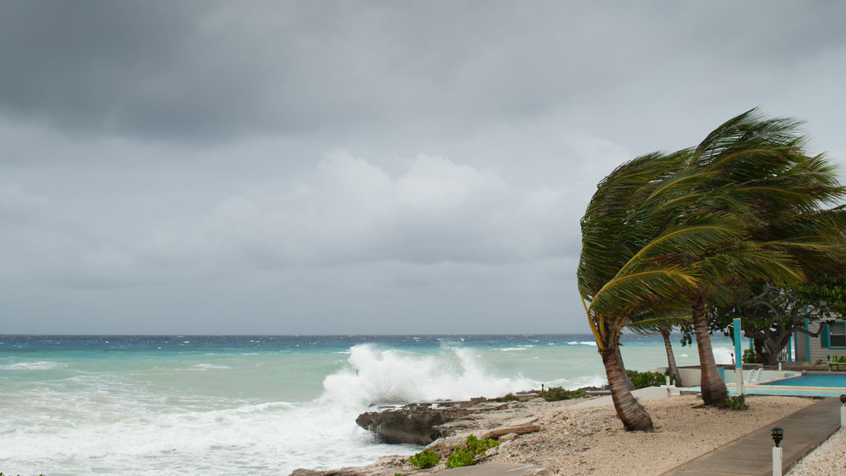 Aquí hay un gráfico de la precipitación mensual promedio en Cancún