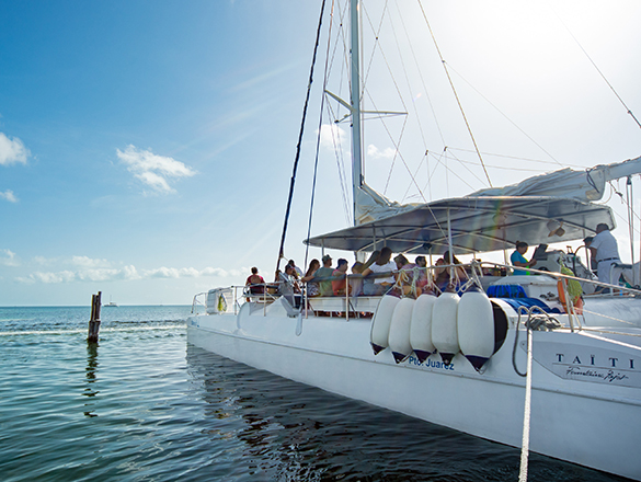 CATAMARAN_585x440