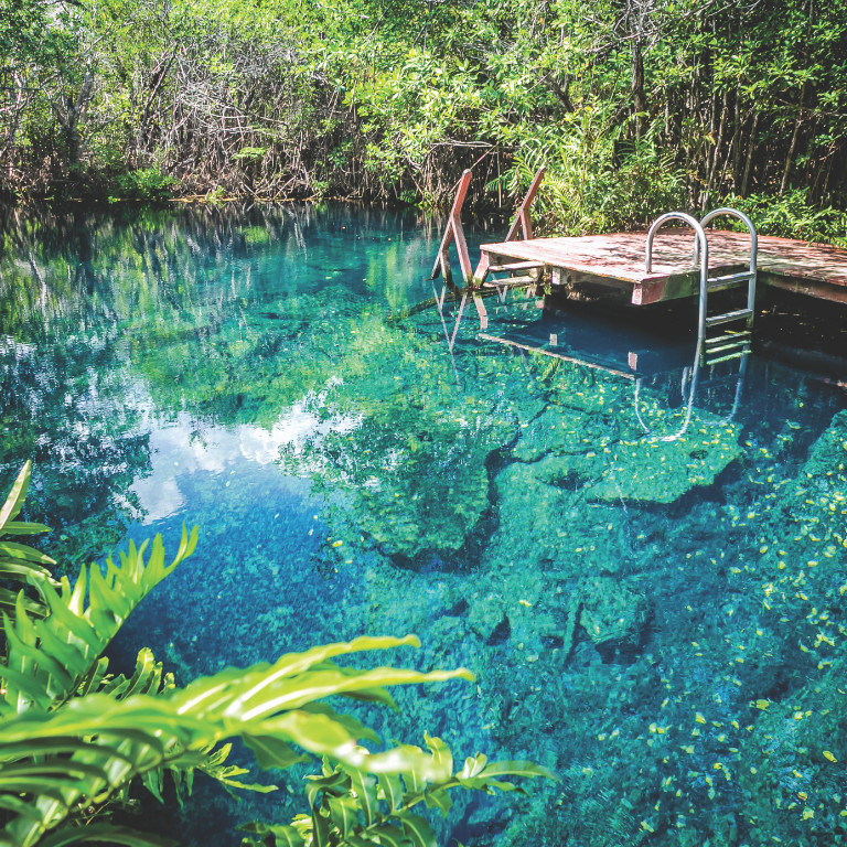 cenotes witnesses of the passage of time
